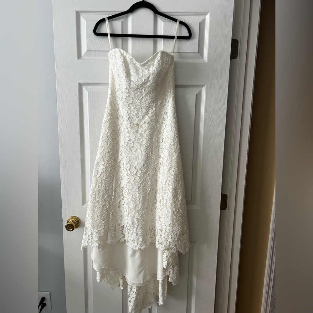 Vintage Galina lace dress